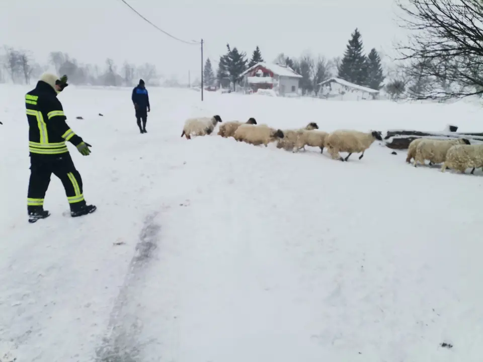  U Lici iz snježne oluje spašeno 48 ljudi