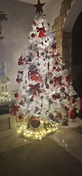 Provjerite tko su pobjednici izbora za naj jelku!