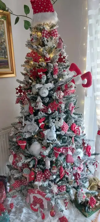 Provjerite tko su pobjednici izbora za naj jelku!
