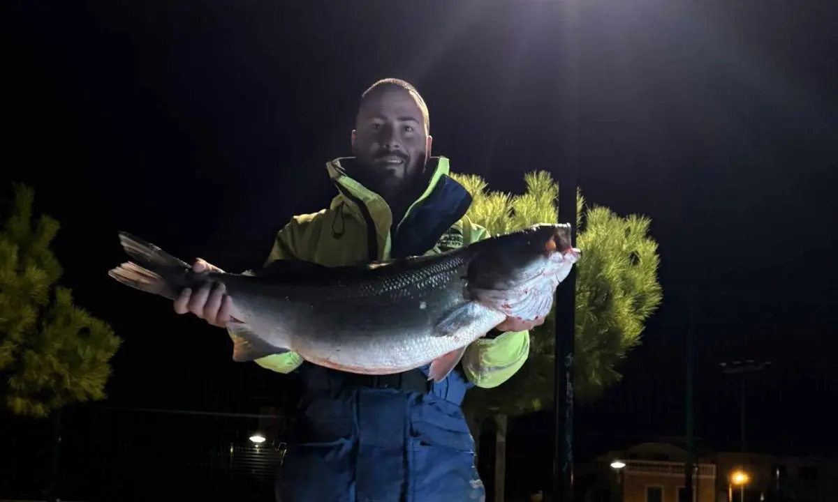 Rekordni ulov: Brancin od 8 kilograma ulovljen na sviću kod Srime