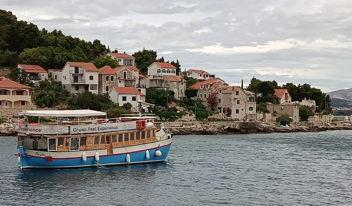 Desto: životna priča starog vodičkog trabakula