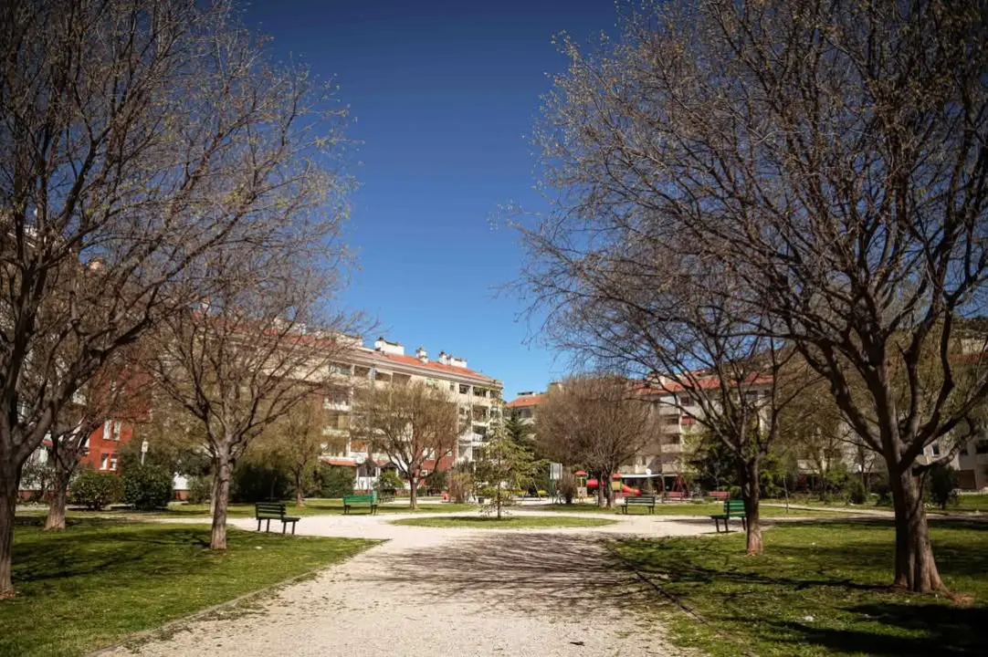 Možda Meterize ne izgledaju atraktivno, ali zato imaju pogled od milijun eura