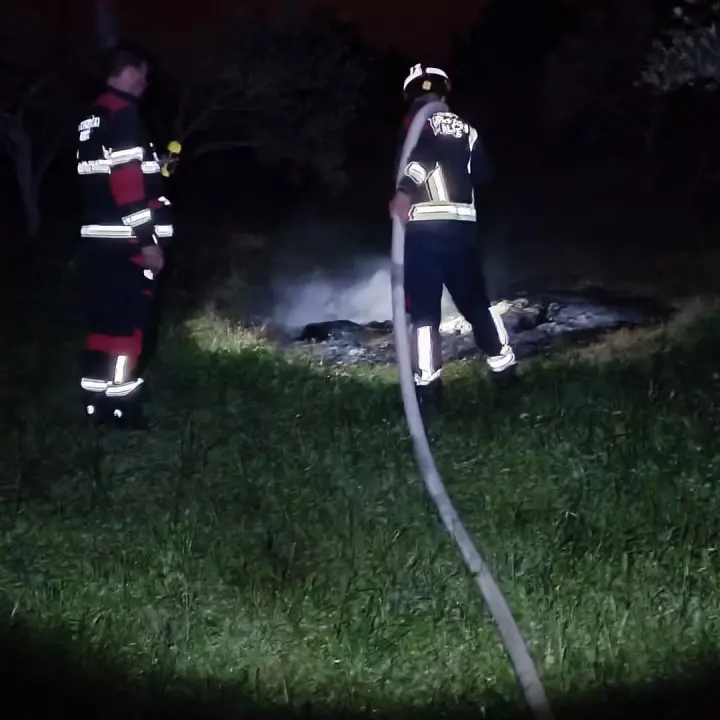 Bilički vatrogasci u nedjelju navečer gasili požar u masliniku