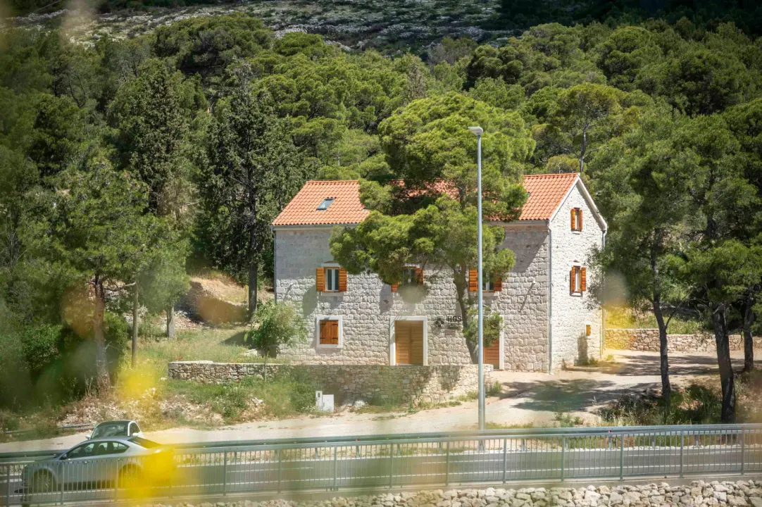 rokici