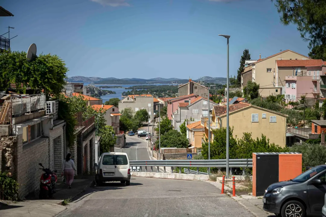 rokici