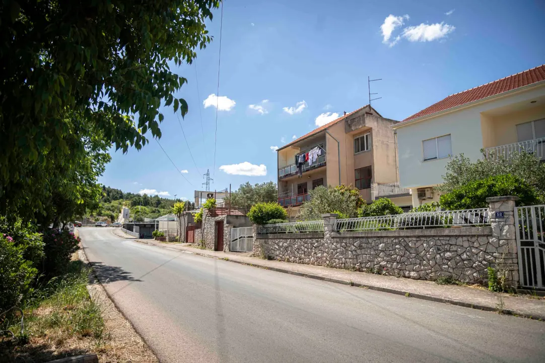 rokici
