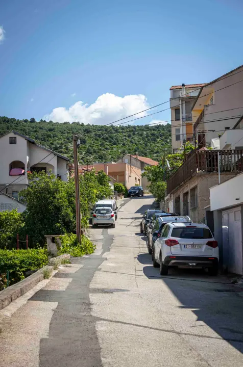 rokici