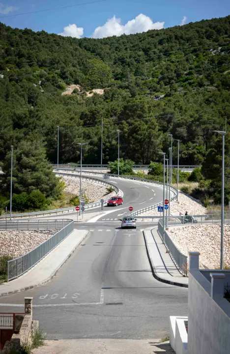 rokici