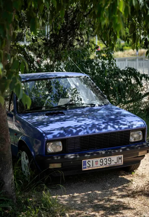 rokici