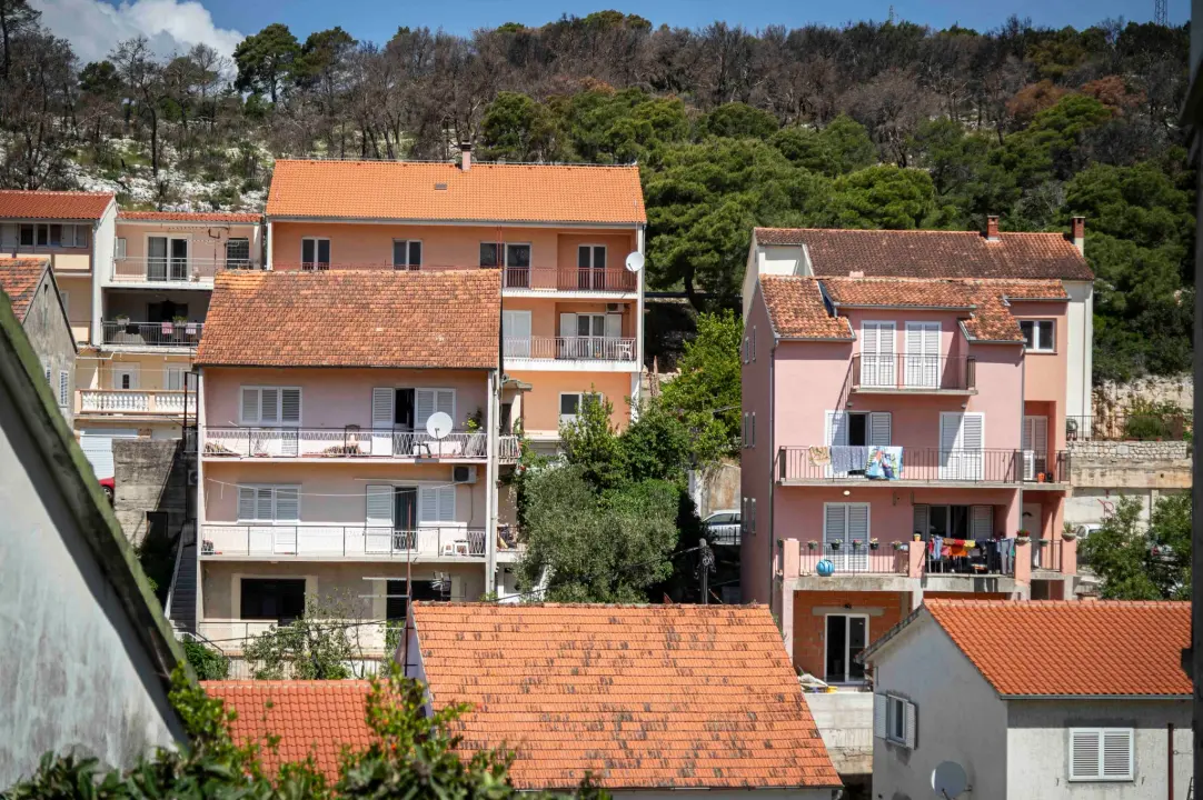 rokici