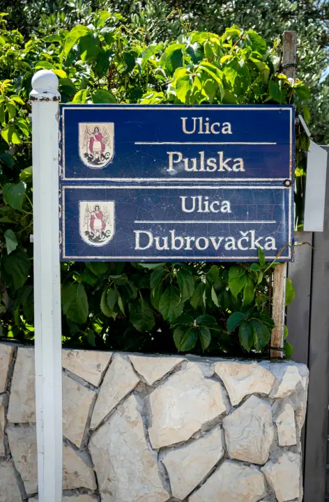 rokici