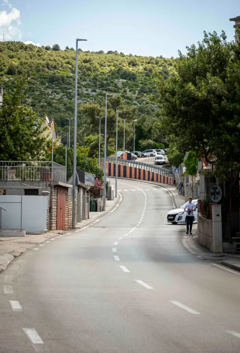 rokici