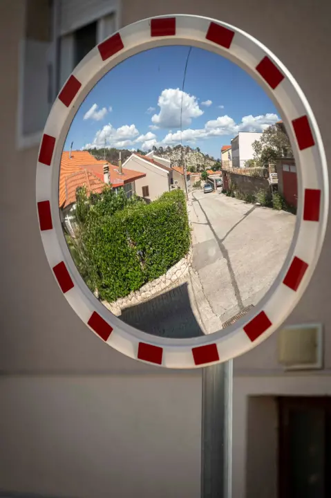 rokici