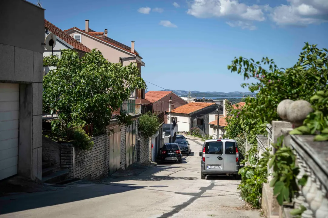 rokici