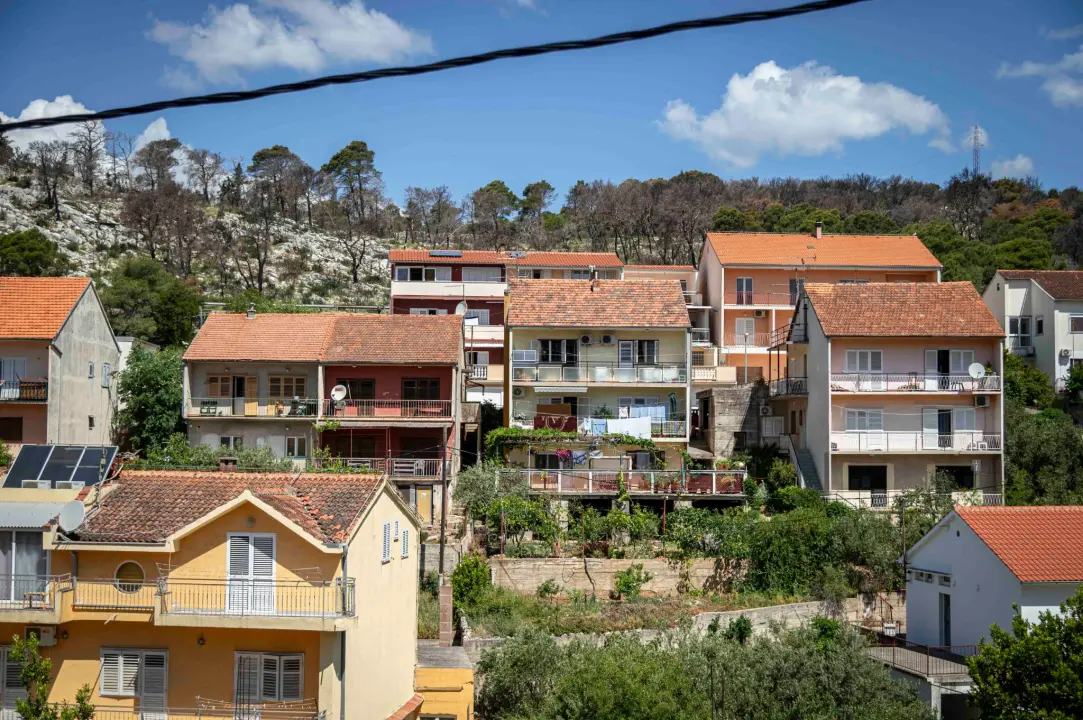rokici