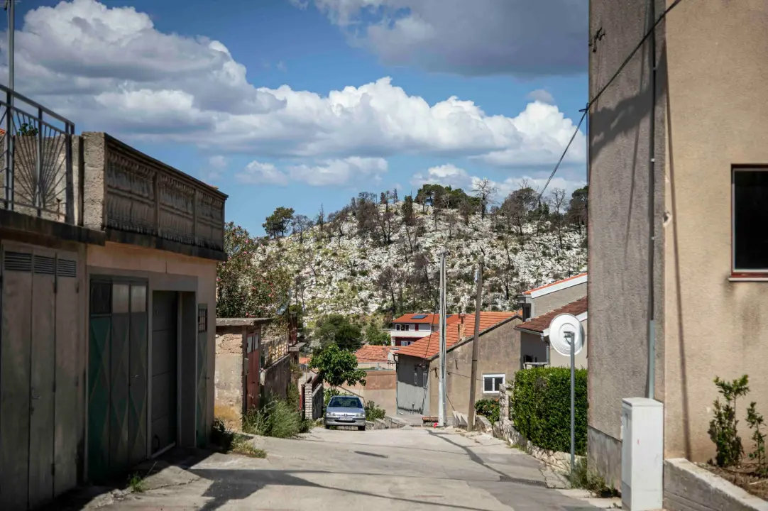 rokici