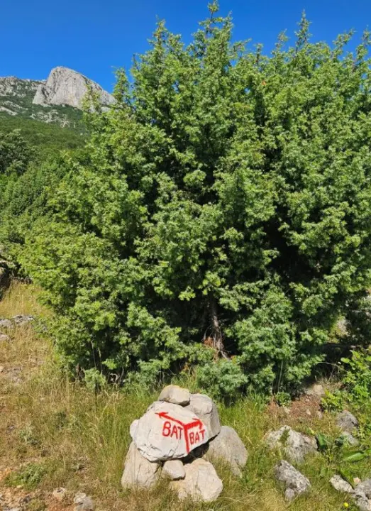 'Mihovilci' obnovili markacije na Kijevskom Kozjaku