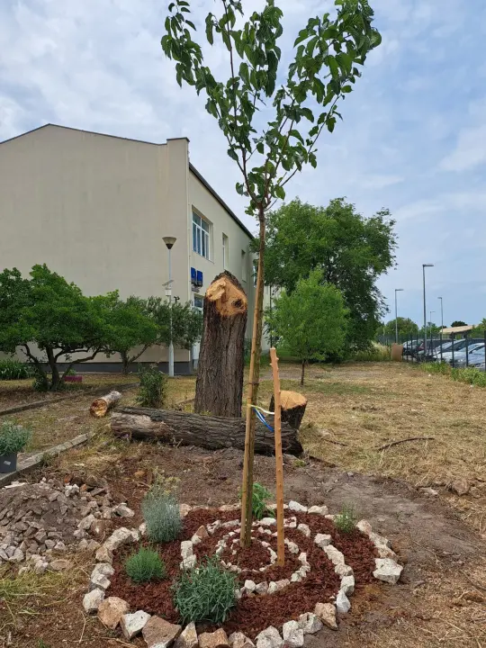 Učenici Katoličke škole u Šibeniku 'Zavrtjeli krug promjena'