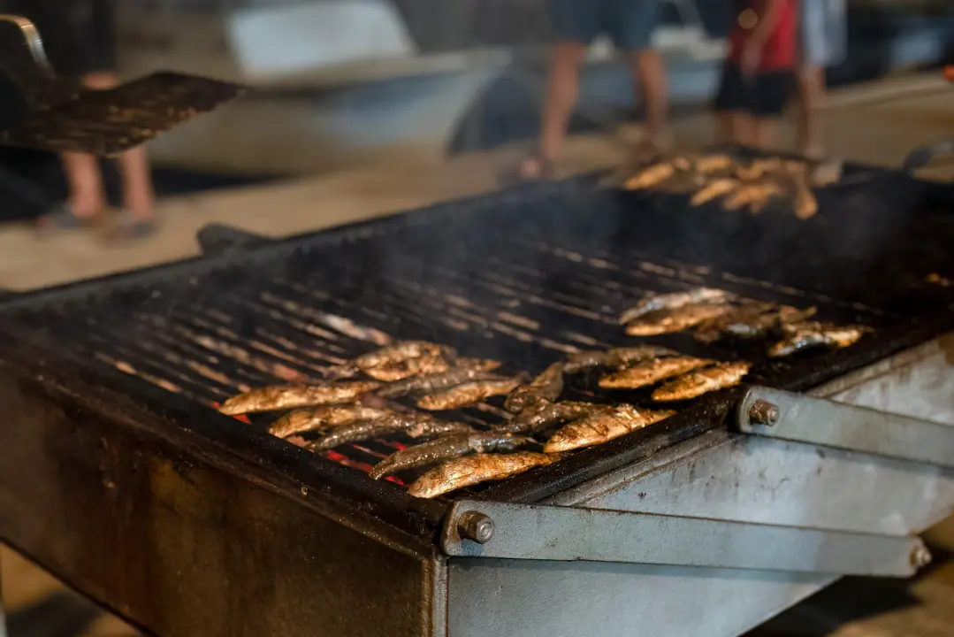 Ribarska fešta se vraća u Pirovac jača nego ikad
