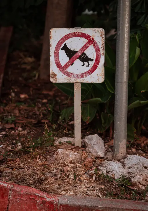 Baldekin 2 i 3: Simbol šibenskog duha, spoj sporta, obrazovanja i sjećanja