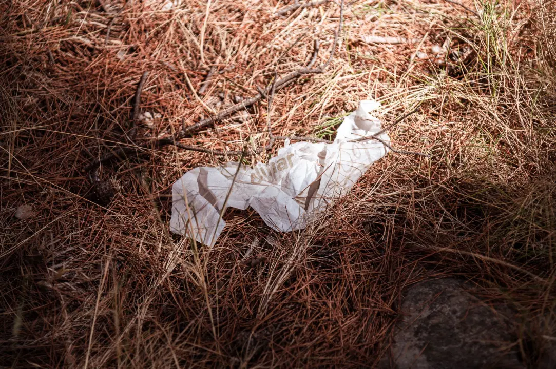 Smeće umjesto ljetne idile na stjenovitoj plaži u Brodarici